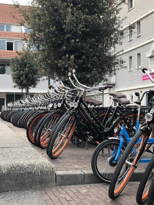 Welkom In Dekreek V59, Dem Freundlichen Ferienhaus Bruinisse Esterno foto